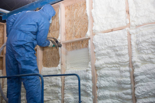 Types of Insulation We Offer in Ledbetter, KY